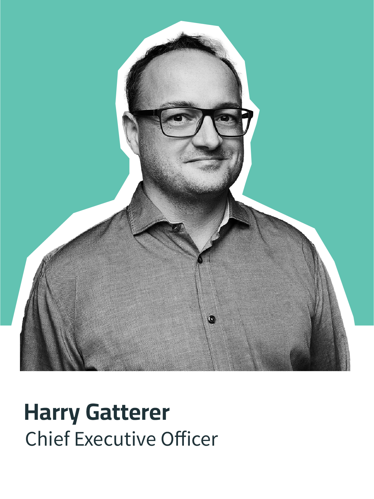 Harry Gatterer